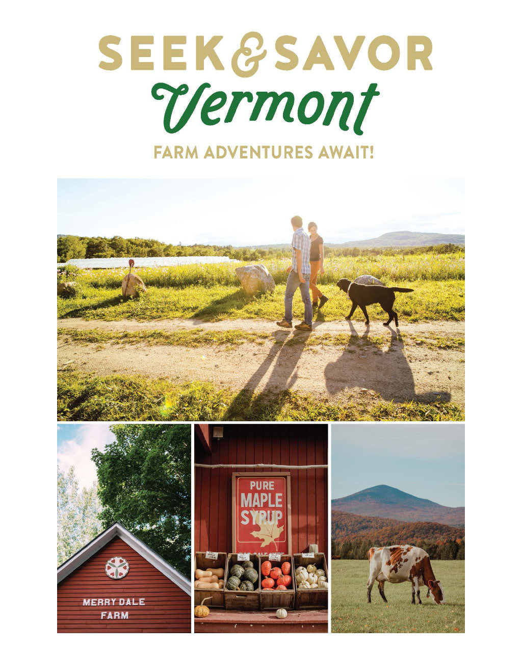 SEEK & SAVOR VERMONT